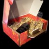 Coffret Cadeau Champagne