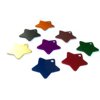 M�daille Etoile pour chien ou chat