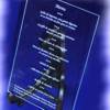Menus grav�s sur verre