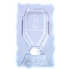 Troph�e Verre Raquette