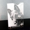 Gravure photo de luxe sur plexi