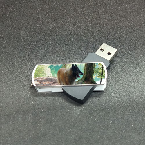 Clé USB aluminium rotative photo