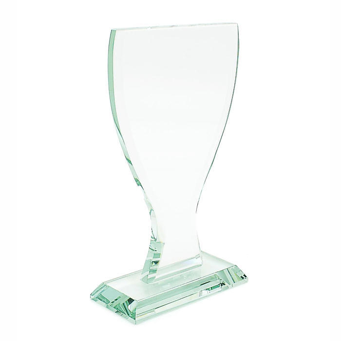 Elégant Trophée de Verre Personnalisable