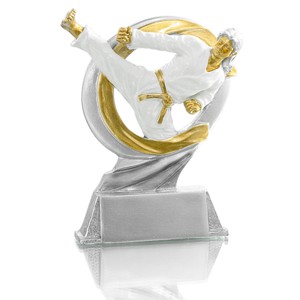 Trophée coupe de foot personnalisé - Goodies publicitaires chez