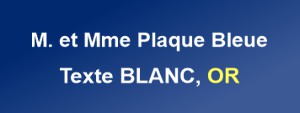 Plaque personnalisée sur mesure en plexiglas bleue